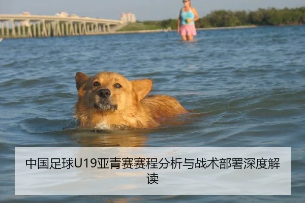 中国足球U19亚青赛赛程分析与战术部署深度解读